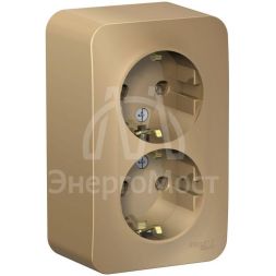 Розетка 2-м ОП BLANCA 16А 250В без шторок с заземл. изол. пласт. титан SchE BLNRA010214