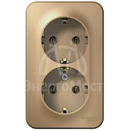 Розетка 2-м ОП BLANCA 16А 250В без шторок с заземл. изол. пласт. титан SchE BLNRA010214