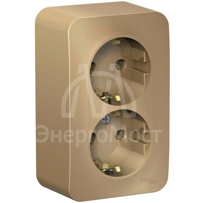 Розетка 2-м ОП BLANCA 16А 250В без шторок с заземл. изол. пласт. титан SchE BLNRA010214