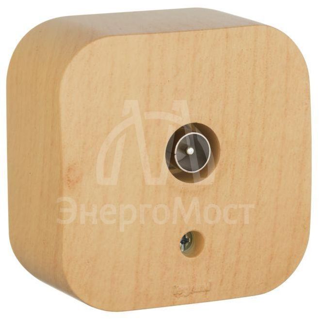 Розетка телевизионная TV 1-м ОП Quteo IP20 с топологией &amp;quot;звезда&amp;quot; дерево Leg 782269