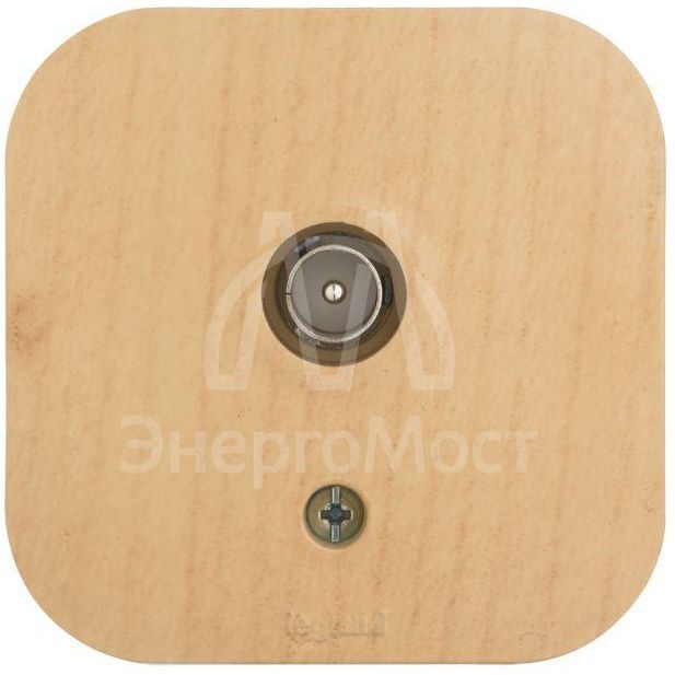 Розетка телевизионная TV 1-м ОП Quteo IP20 с топологией &amp;quot;звезда&amp;quot; дерево Leg 782269