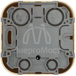 Розетка телевизионная TV 1-м ОП Quteo IP20 с топологией &amp;quot;звезда&amp;quot; дерево Leg 782269