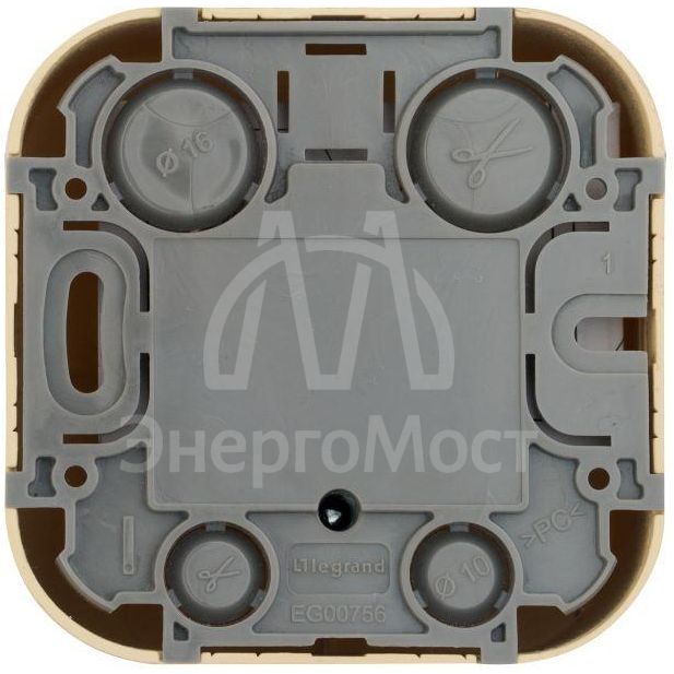 Розетка телевизионная TV 1-м ОП Quteo IP20 с топологией &amp;quot;звезда&amp;quot; дерево Leg 782269