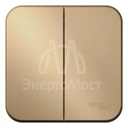 Выключатель 2-кл. ОП Blanca 10А IP20 (сх. 5) 250В с изолир. пластиной титан SchE BLNVA105014