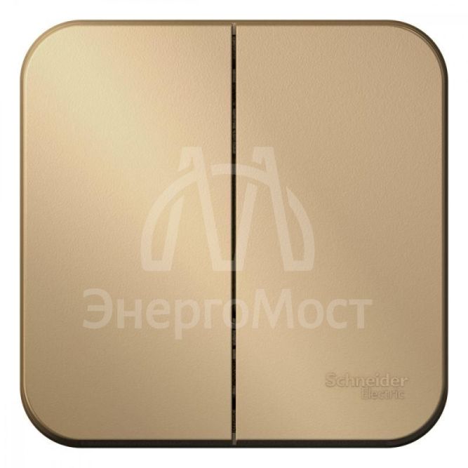 Выключатель 2-кл. ОП Blanca 10А IP20 (сх. 5) 250В с изолир. пластиной титан SchE BLNVA105014