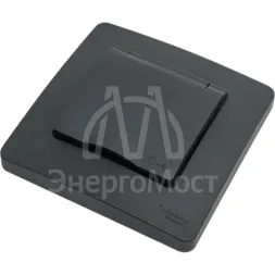 Розетка 1-м СП Blanca 16А IP44 250В с заземл. защ. шторки с крышкой антрацит SE BLNRS441116