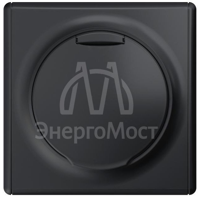 Розетка 1-м СП Florence 16А IP20 с заземл. с крышкой винт. клеммы механизм черн. 1E10501303 OneKeyElectro 2172814