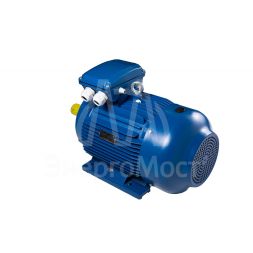 Электродвигатель АИР 355 (250 кВт 1500 об/мин) S4 IM 1001 на лапах