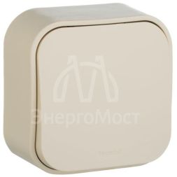 Выключатель 1-кл. ОП Quteo 10А IP20 10AX сл. кость Leg 782230