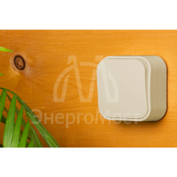 Выключатель 1-кл. ОП Quteo 10А IP20 10AX сл. кость Leg 782230