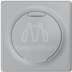 Розетка 1-м СП Florence 16А IP20 с заземл. с крышкой винт. клеммы механизм сер. 1E10501302 OneKeyElectro 2172837