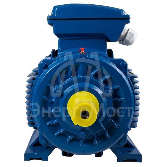 Электродвигатель 5АИ (315 кВт 1500 об/мин) 355 М4 IM 1001 на лапах