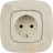 Механизм розетки 1-м СП Valena Allure 16А IP2X 250В 2К+З с лиц. панелью безвинт. зажимы сл. кость Leg 753821