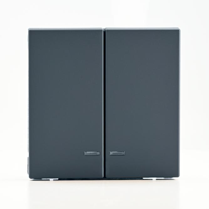 Выключатель 2-кл. ArtGallery (сх. 5а) 10AX с подсветкой механизм грифель SE GAL000753