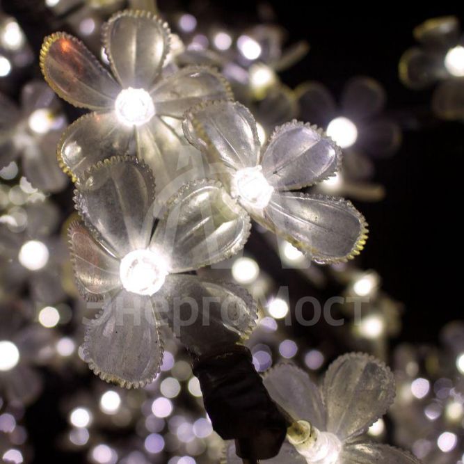 Лампа светодиодная Black 2Вт капсульная 4100К нейтр. бел. G4 200лм 12В GAUSS 207707202