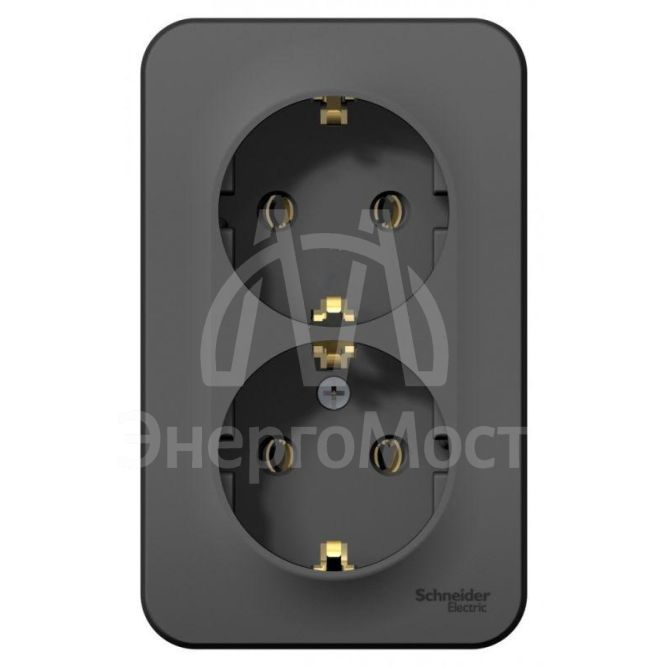 Розетка 2-м ОП BLANCA 16А 250В без шторок с заземл. антрацит SchE BLNRA010206