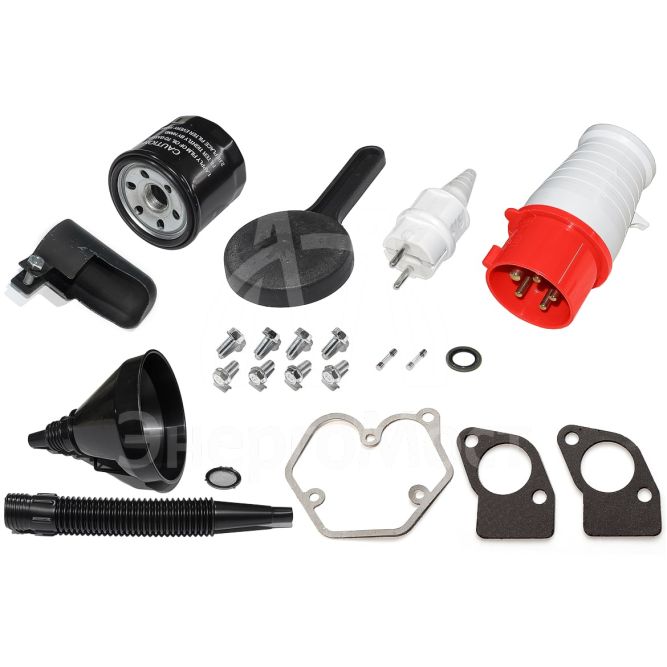 Дизель генератор TSS SDG 11000EH3A