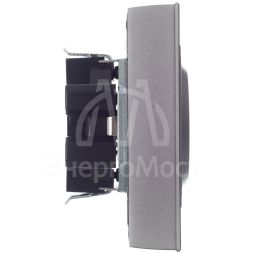 Розетка 2-м СП BRITE РСш12-3-БрС 16А в сборе с заземл. защ. шторки сталь IEK BR-R24-16-K46-F