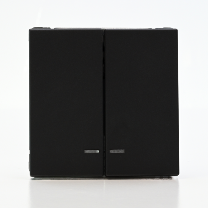 Выключатель 2-кл. ArtGallery (сх. 5а) 10AX с подсветкой механизм карбон SE GAL001053