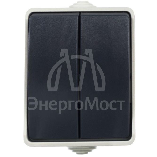 Выключатель 2-кл. ОП Форс 10А IP54 ВС20-2-0-ФСр сер. IEK EVS20-K03-10-54-DC