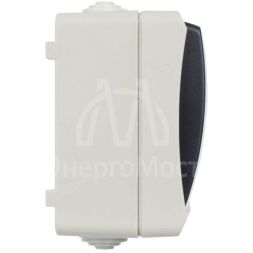 Выключатель 2-кл. ОП Форс 10А IP54 ВС20-2-0-ФСр сер. IEK EVS20-K03-10-54-DC