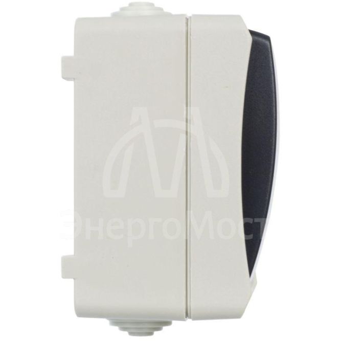 Выключатель 2-кл. ОП Форс 10А IP54 ВС20-2-0-ФСр сер. IEK EVS20-K03-10-54-DC