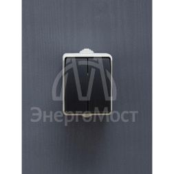 Выключатель 2-кл. ОП Форс 10А IP54 ВС20-2-0-ФСр сер. IEK EVS20-K03-10-54-DC