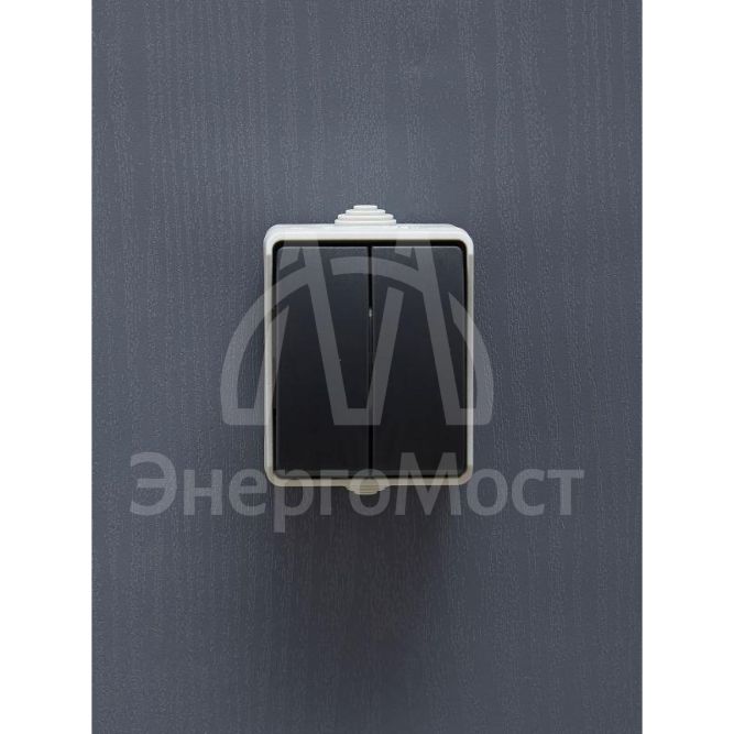 Выключатель 2-кл. ОП Форс 10А IP54 ВС20-2-0-ФСр сер. IEK EVS20-K03-10-54-DC