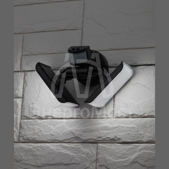 Светильник садовый фасадный ERAFS020-42 2х50LED 600лм с двумя световыми панелями выносная солнечная батарея ЭРА Б0044490