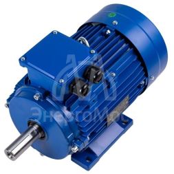 Электродвигатель АИР 56 (0,25 кВт 3000 об/мин) В2 IM 1081 на лапах