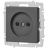Розетка 1-м СП Accent 6-201-07 16А IP20 250В 2P графит Intro Б0063669