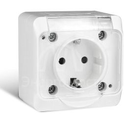 Розетка 1-м ОП Nix 16А IP54 250В с заземл. с прозр. крышкой бел. TOKOV ELECTRIC TKE-NX-R1Z-C01T-IP54