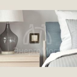 Светорегулятор поворотный Inspiria 300Вт без нейтрали сл. кость Leg 673791