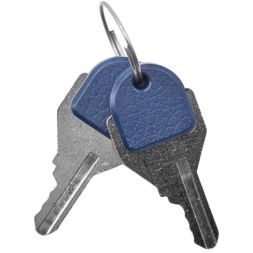 Головка переключателя с ключом на 2 положения с фиксацией стандартная ручка алюм. черн. DKC M22S-KL2A