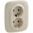 Розетка 2-м СП Valena Allure 16А IP20 250В 2х2К+З с лиц. панелью защ. шторки безвинт. зажимы сл. кость Leg 753826
