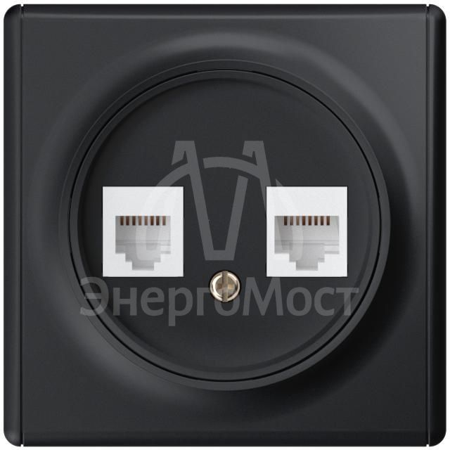 Розетка компьютерная 2-м СП Florence RJ45 кат.5E механизм черн. 1E20901303 OneKeyElectro 2172818