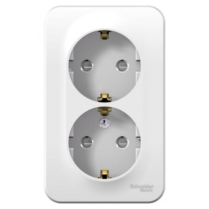 Розетка 2-м ОП Blanca 16А IP20 250В с заземл. защ. шторки с металлич. пластиной бел. SE BLNRA011221