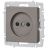 Розетка 1-м СП Accent 6-201-09 16А IP20 250В 2P титан Intro Б0063673