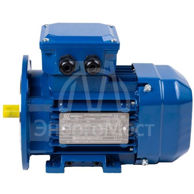 Электродвигатель АИР 63 (0,37 кВт 3000 об/мин) А2 IM 2081 на лапах с фланцем