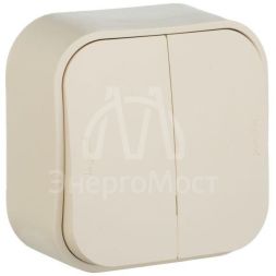 Выключатель 2-кл. ОП Quteo 10А IP20 10AX сл. кость Leg 782232