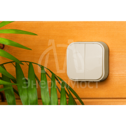 Выключатель 2-кл. ОП Quteo 10А IP20 10AX сл. кость Leg 782232