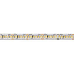 Лента светодиодная PLS PRO-5 2835/240-24В 6000К 20Вт/м IP20 (уп.5м) Pro+ JazzWay 5055902