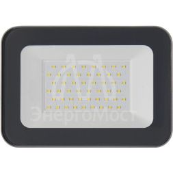 Прожектор СДО 07-50 LED 50Вт IP65 6500К сер. IEK LPDO701-50-K03