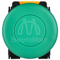 Кнопка &amp;quot;Грибок&amp;quot; d22мм 1НО+1НЗ MASTER с фиксацией зел. IEK MI-BG60-11M-3-21-K06