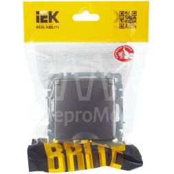 Розетка BRITE РСбш10-3-БрС 16А IP20 с заземл. защ. шторки с крышкой сталь IEK BR-R16-16-K46