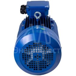 Электродвигатель АИР 63 (0,37 кВт 1500 об/мин) В4 IM 1081 на лапах