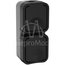 Розетка 2-м ОП TORS 16А IP55 TS132 вертик. с заземл. с крышкой графит IEK TS-R26-16-55-V-K53