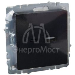 Розетка BRITE USB A+C 18Вт РЮ11-1-БрЧ черн. IEK BR-U22-018-K02