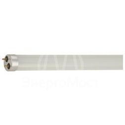 Лампа светодиодная Elementary T8 24Вт 6500К G13 2000лм 1200мм стекло Gauss 93034