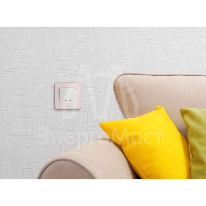 Выключатель 2-кл. Inspiria 250В 10AX с подсветкой / индикацией бел. Leg 673630